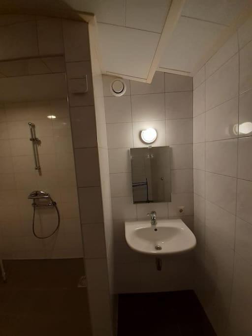 Saevis Tranquillus In Undis In De Ijsvogel Villa Diffelen Exteriör bild