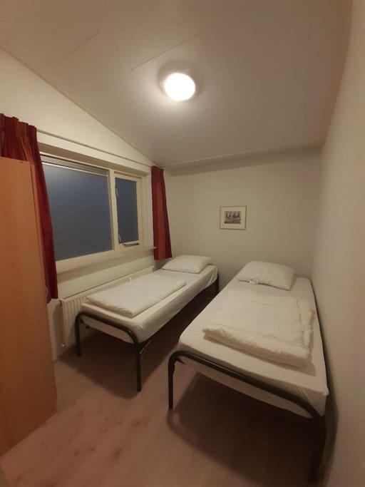 Saevis Tranquillus In Undis In De Ijsvogel Villa Diffelen Exteriör bild