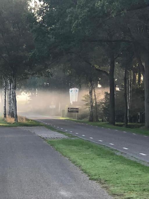 Saevis Tranquillus In Undis In De Ijsvogel Villa Diffelen Exteriör bild