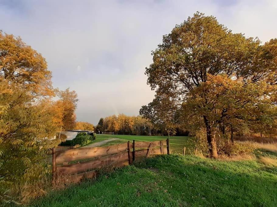 Saevis Tranquillus In Undis In De Ijsvogel Villa Diffelen Exteriör bild
